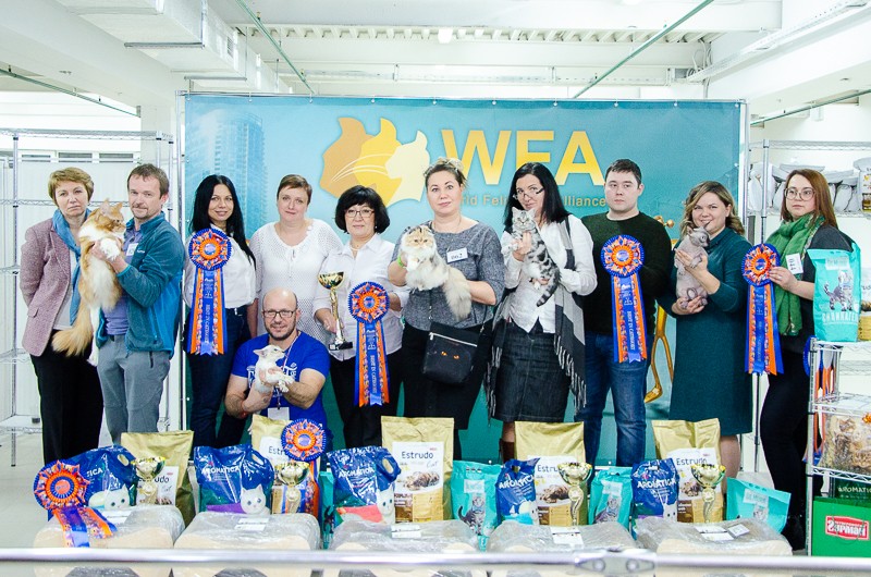 wfa-galla-show-gallery1