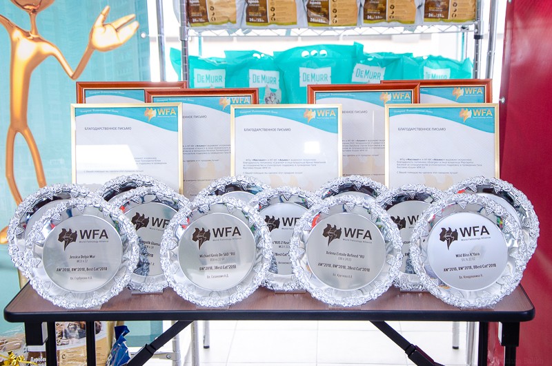 wfa-galla-show-gallery2