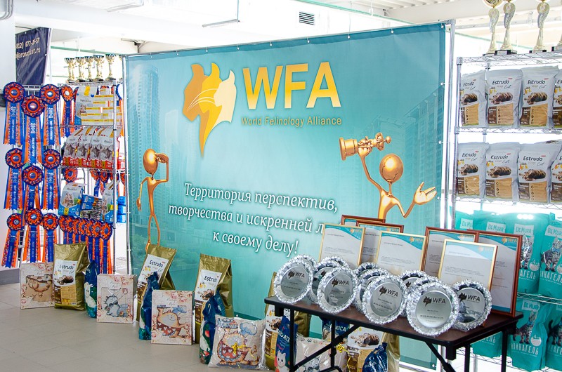 wfa-galla-show-gallery3