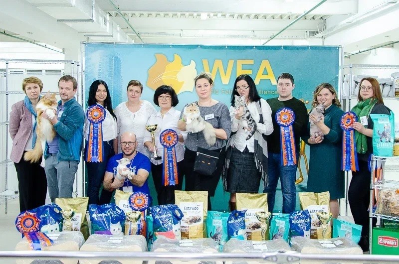 wfa-gala-show-02.2019